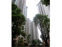 �����Ō��³�D�^